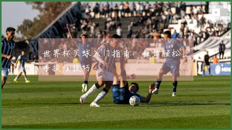世界杯买球入门指南，教你轻松上手投注技巧