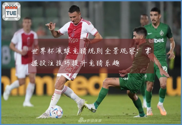 世界杯滚球竞猜规则全景观察：掌握投注技巧提升竞猜乐趣