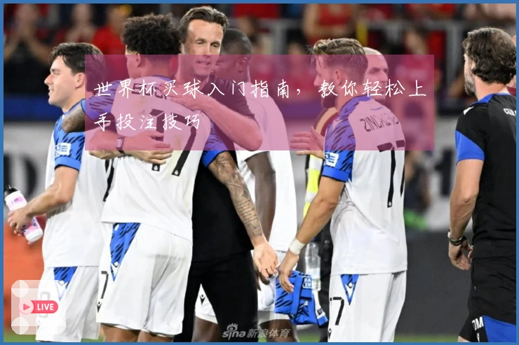 世界杯买球入门指南，教你轻松上手投注技巧