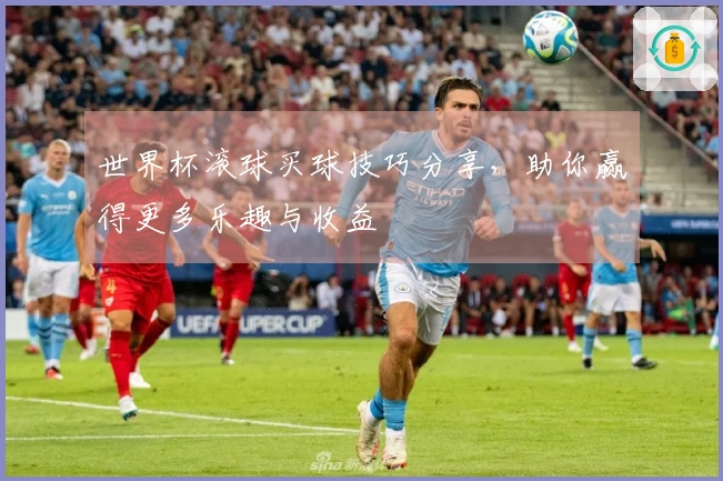 世界杯滚球买球技巧分享，助你赢得更多乐趣与收益