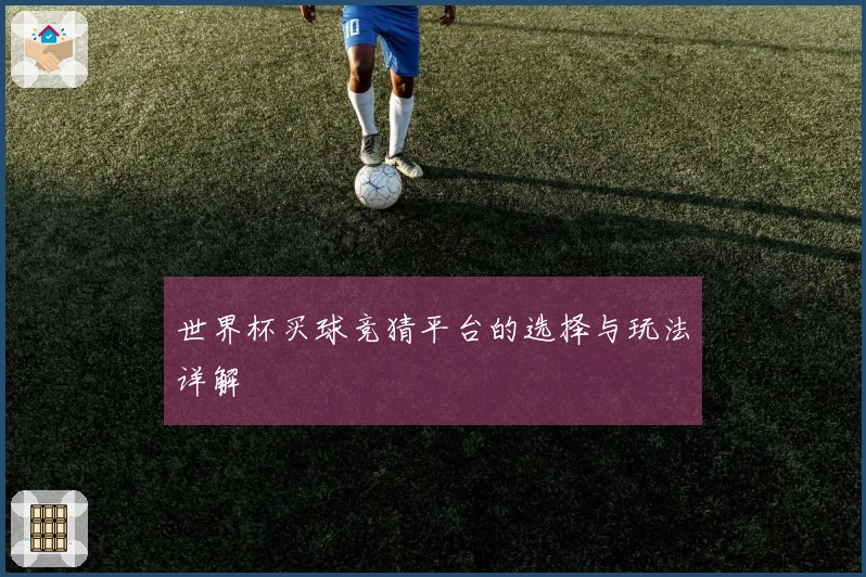 世界杯买球竞猜平台的选择与玩法详解