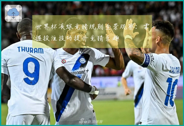 世界杯滚球竞猜规则全景观察：掌握投注技巧提升竞猜乐趣